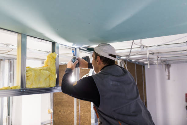 Trusted Clemson University, SC Insulation Contractor Experts