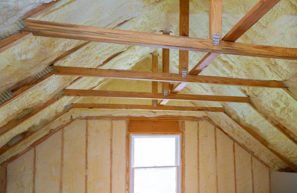 Best Spray Foam Insulation in Clemson University, SC