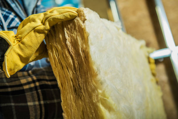 Best Geographic-Specific Insulation Services in Clemson University, SC