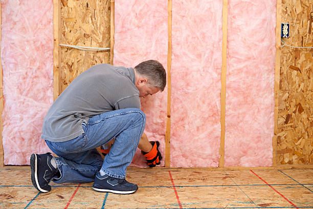 Best Insulation for Specific Applications in Clemson University, SC