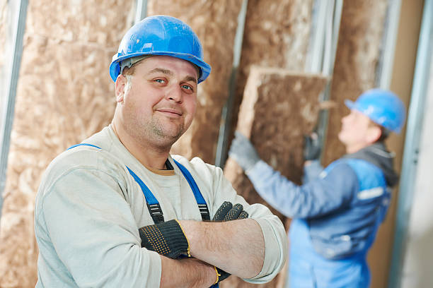 Best Insulation Maintenance and Repair in Clemson University, SC