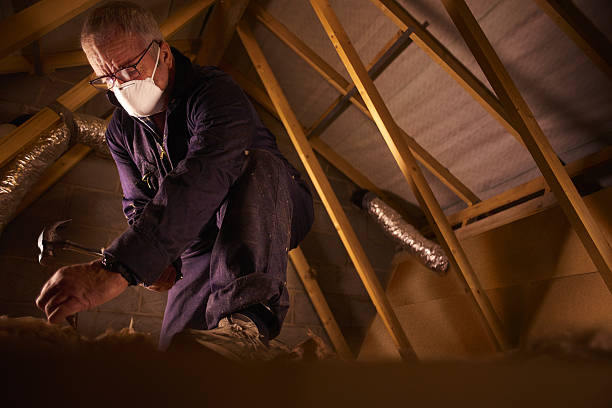 Best Energy Efficiency Insulation in Clemson University, SC